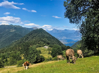 San Zeno et le lac depuis le Pian delle Alpi